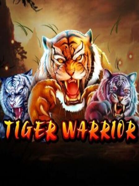 Trik Mengelola Bankroll di Goalbet